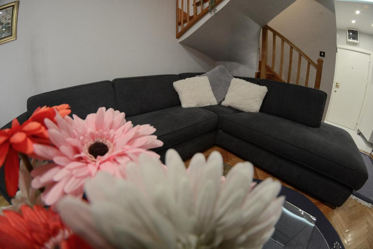Apartment Dobraya Blue Novi Sad Buitenkant foto